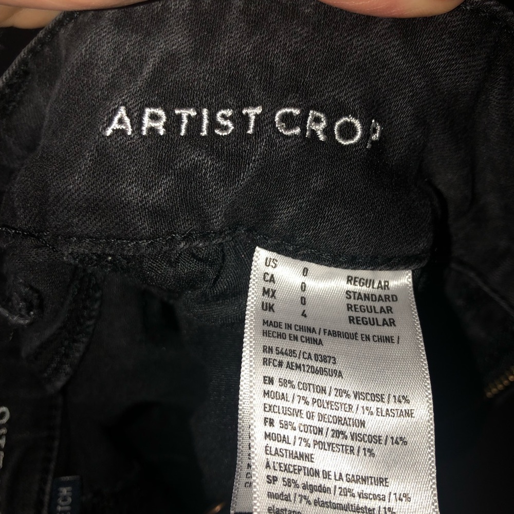 Artist Crop American Eagle jeans